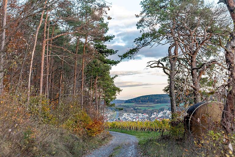 Am Ende der Rundtour streift man die Weinberge. Am Ende der Rundtour streift man die Weinberge.