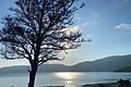 Loch Ness gibt sein Rätsel nicht preis.jpeg       -  Loch Ness gibt sein Rätsel nicht preis Stimmung am Loch Ness. Wer rund um den Loch Ness die Hauptrolle spielt, ist offensichtlich: Die Legende vom Seeungeheuer beflügelt die Fantasie der Menschen seit Jahrzehnten. Aber ist Nessie tatsächlich im berühmten See? (zu dpa 'Tatsächlich ein Ungeheuer? Loch Ness gibt sein Rätsel nicht preis') +++ dpa-Bildfunk +++AGENTURBILD DPA picture-alliance.com picture alliance dpa-archiv dpa-langzeitarchiv