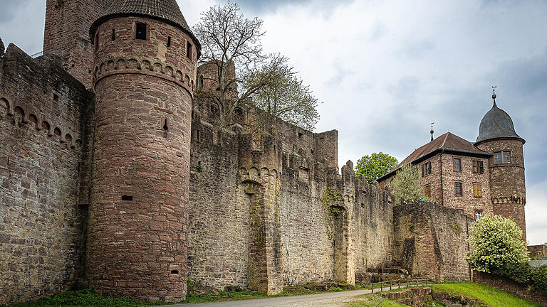 Zu den neu ausgestellten Motiven der Fotoschau am Uniklinikum Würzburg gehört diese Ansicht der Burg Wertheim.