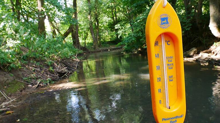 kg-eik-Flüsse Zwischenablage01       -  Auch die Saale weist momentan, wie viele andere Bäche und Flüsse, den niedrigsten Wert des bisherigen Jahres in Sachen Wasserstand auf. Das ist eine Folge der enormen Hitze und Trockenheit.