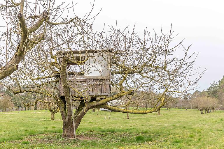 Auch keine schlechte Idee: ein Baumhaus im Kirschbaum.