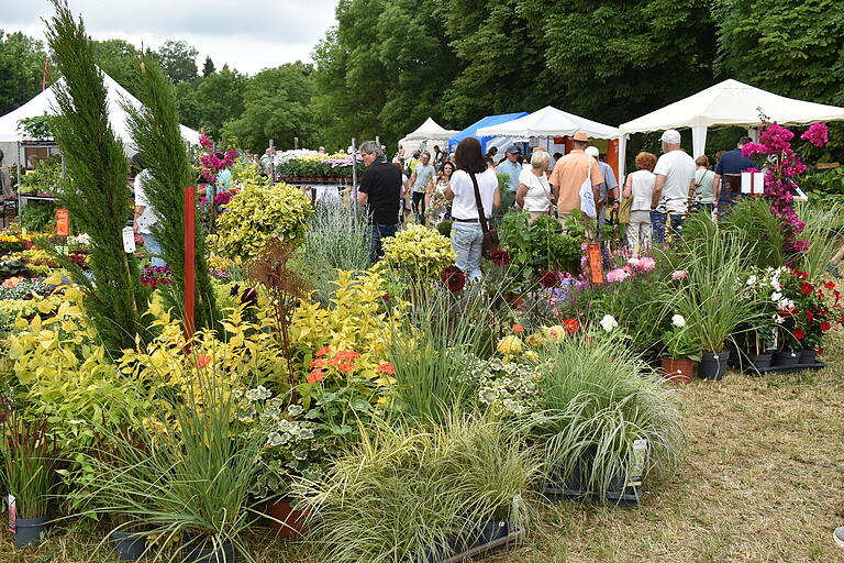 Alljährlich sehr gut besucht: Im Vorjahr kamen rund 7000 Gartenfreunde zu der Messe in dem kleinen Steigerwaldort.