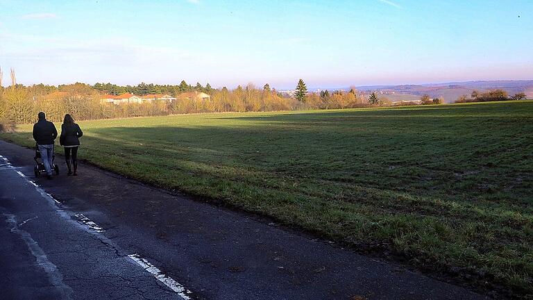 Über den Dächern von Würzburg soll ein neues Baugebiet entstehen. Links von den Sparziergängern ist der Waldfriedhof. Über den Dächern von Würzburg soll ein neues Baugebiet entstehen. Links von den Sparziergängern ist der Waldfriedhof.
