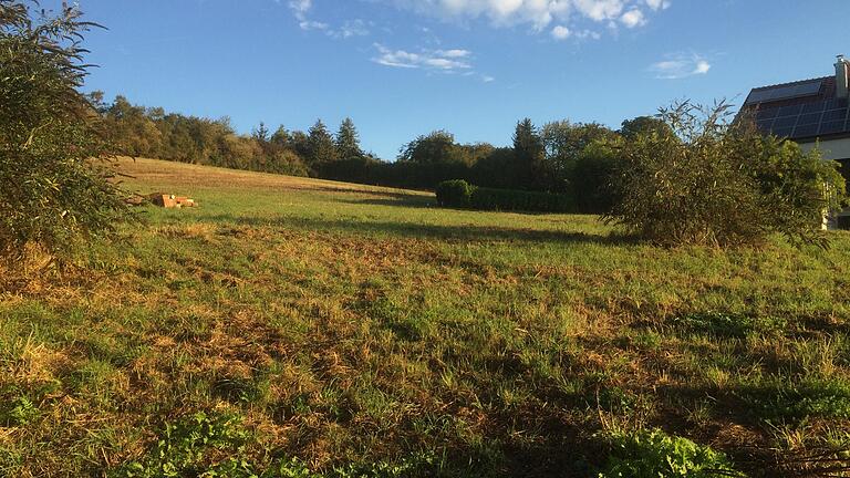 Wilhelmsbühl       -  Das Thema Baugebiet am Kitzinger Wilhelmsbühl ist wieder auf dem Tisch. Der Bauausschuss beschäftigt sich am 21. September 2017 mit einer möglichen Erschließungsstraße.