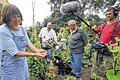 Mini-Gürkchen: Dem Garten von Anita Rau aus Frickenhausen (links) widmet die Frankenschau am Sonntag einen Beitrag.Foto: Gerhard Meissner