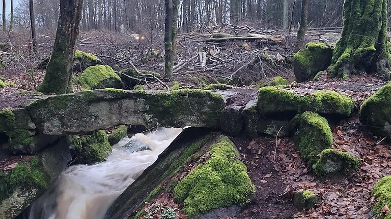 Vorher war sie schöner: Oberhalb des Geotops Dörflinger Ruh wurde an der Staatsstraße 2790 für den Ausbau des Hammelburger Bergs ein breiter Waldstreifen entfernt. Naturschützern gefällt das überhaupt nicht.       -  Vorher war sie schöner: Oberhalb des Geotops Dörflinger Ruh wurde an der Staatsstraße 2790 für den Ausbau des Hammelburger Bergs ein breiter Waldstreifen entfernt. Naturschützern gefällt das überhaupt nicht.