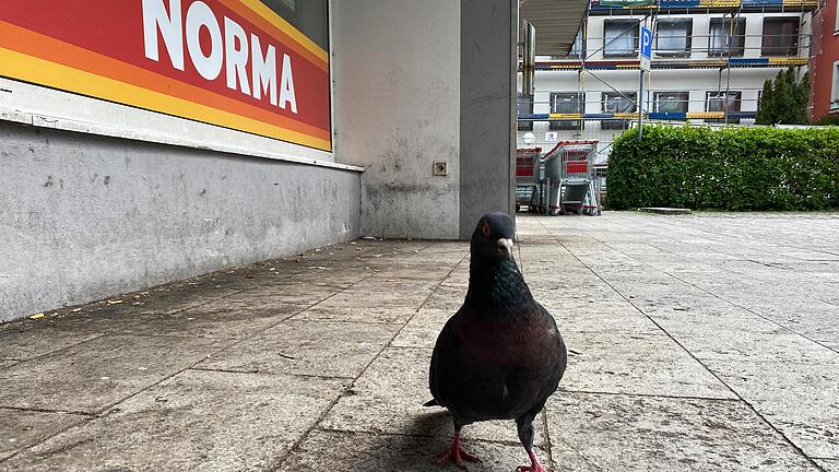 Ab sofort menschenleer: Die Norma-Filiale im Kitzinger Schwalbenhof hat geschlossen.