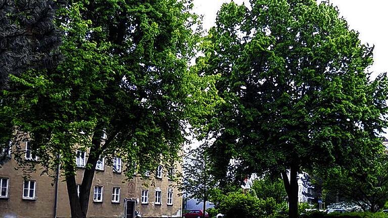 Wohnen im Grünen: Das soll auch nach dem Bau der neuen Häuser in der Brunostraße so bleiben.