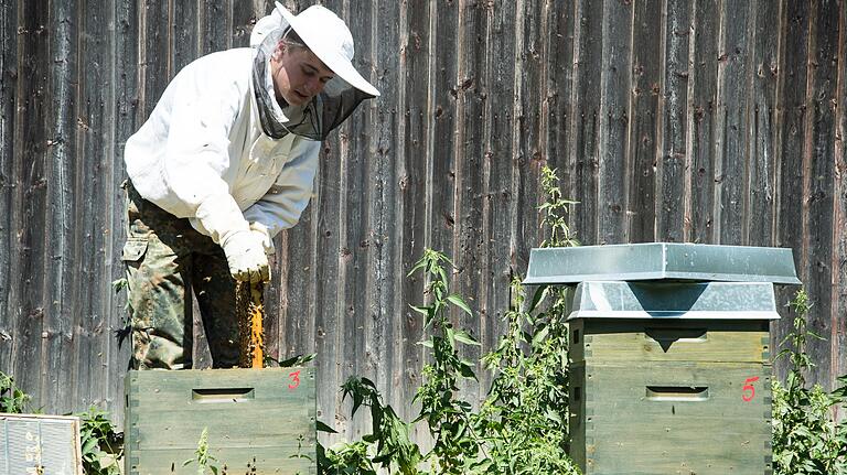 Der Herr der Bienen: Sohn Philipp Reck hat die Imkerei für sich entdeckt. Inzwischen hat er 14 Völker, die im Jahr rund 250 Kilo Honig liefern. Der Herr der Bienen: Sohn Philipp Reck hat die Imkerei für sich entdeckt. Inzwischen hat er 14 Völker, die im Jahr rund 250 Kilo Honig liefern.