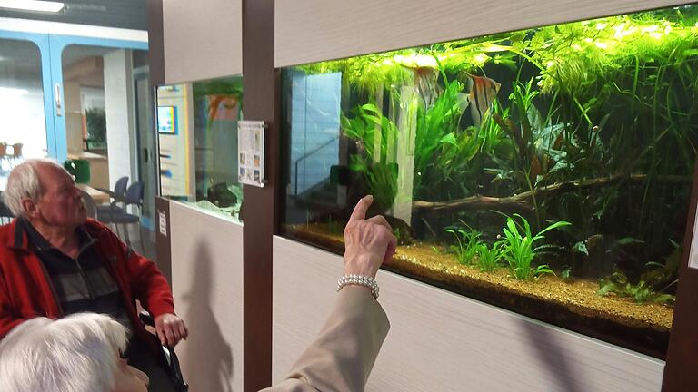 Bewohner des Curata bei einem Ausflug zum Aquariumverein.