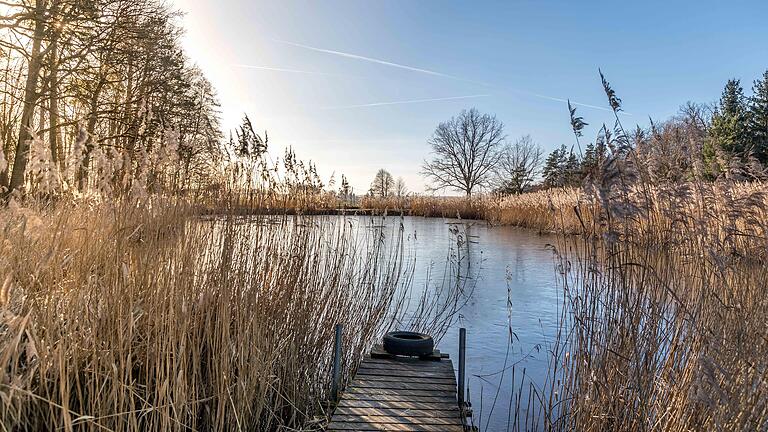 Der Schwarzacher Kulturwanderweg führt durch Acker- und Brachland, Streuobstwiesen, Wald und an der Schwarzach entlang. Hier an der Station 10 im Forst der Gemeinden Schwarzach und Reupelsdorf: die Wasenmeisterei. Der Schwarzacher Kulturwanderweg führt durch Acker- und Brachland, Streuobstwiesen, Wald und an der Schwarzach entlang. Hier an der Station 10 im Forst der Gemeinden Schwarzach und Reupelsdorf: die Wasenmeisterei. 