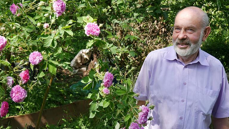 Der Jubilar Bertold Wagner in seinem Rosengarten, eines seiner vielen Hobbys, dem er sich leidenschaftlich widmet.