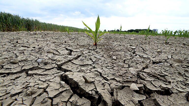 Wird die Trockenheit auch in Augsburg zum Problem?.jpeg - Der Klimawandel ist unzweifelhaft von Wissenschaftlern erwiesen. Doch es gibt psychologische Gründe, warum wir so langsam handeln. Wird die Trockenheit auch in Augsburg zum Problem?.jpeg - Der Klimawandel ist unzweifelhaft von Wissenschaftlern erwiesen. Doch es gibt psychologische Gründe, warum wir so langsam handeln.