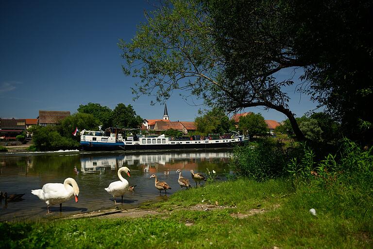 Am Rastplatz unterhalb von Homburg kann man Enten und Schwäne beobachten. Oder sich einfach auf den Liegestühlen von der Fahrt erholen.