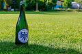 Im Mai 2023 feierten sie beim ETSV Würzburg die Meisterschaft in der Kreisliga Würzburg 1 (Archivbild). Am kommenden Wochenende dürften in der Region eine Reihe von Titelträgern des Jahres 2024 gekürt werden.