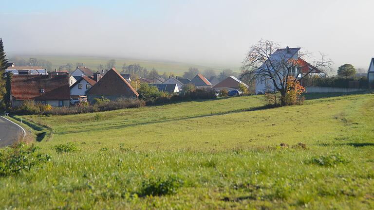 Mit den Einwänden der Fachbehörden zum neuen Baugebiet 'Muttertal III' in Urspringen befasste sich der Gemeinderat in seiner jüngsten Sitzung. Die Naturschutzbehörde möchte den Kirschbaum (rechts im Bild) möglichst verpflanzen. Mit den Einwänden der Fachbehörden zum neuen Baugebiet 'Muttertal III' in Urspringen befasste sich der Gemeinderat in seiner jüngsten Sitzung. Die Naturschutzbehörde möchte den Kirschbaum (rechts im Bild) möglichst verpflanzen. 