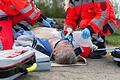 Rettungsdienst im Einsatz       -  Hilfe, ein Notfall! Bis die Profis übernehmen, sind Ersthelferinnen und Ersthelfer gefragt.