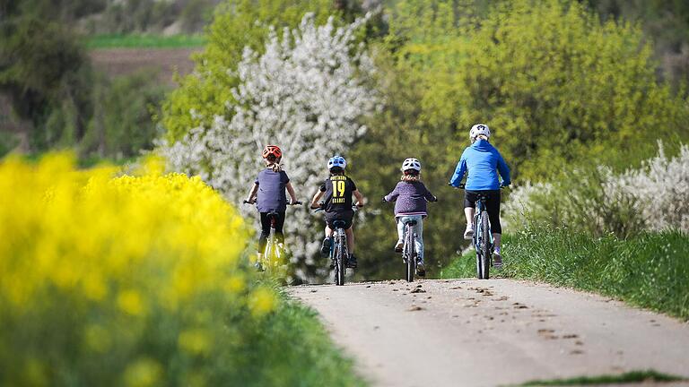 Bei einer Fahrradtour mit ihren Kindern stürzte eine Mutter in Heustreu (Symbolbild).