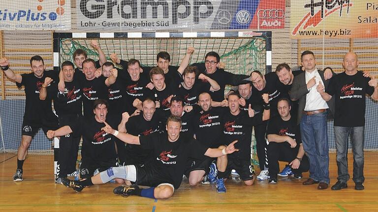 Der TSV war das langjährige Handball-Aushängeschild im Landkreis. Die Meistermannschaft aus dem Jahr 2013 schaffte mit dem Aufstieg in die 3. Liga den größten Erfolg der Vereinsgeschichte. (Archivfoto)