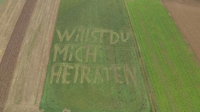 Damit seine Freundin Tina seine Botschaft gut erkennen konnte, mähte Philipp Heppel die Worte in ein Feld an einem Hang. Dieses Foto wurde mit einer Drohne aufgenommen. Damit seine Freundin Tina seine Botschaft gut erkennen konnte, mähte Philipp Heppel die Worte in ein Feld an einem Hang. Dieses Foto wurde mit einer Drohne aufgenommen.