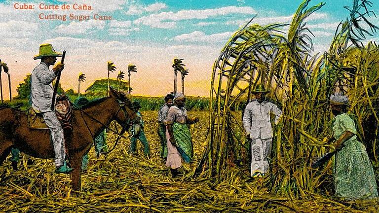 Cuba: Corte De Cana. Cutting Sugar Cane, C1910.       -  Romantisch nur auf den ersten Blick: Auf den Zuckerrohrfeldern Kubas wurden Hunderttausende schwarze Sklaven für die Produktion des süßen Stoffes ausgebeutet und geschunden.GETTY IMAGES