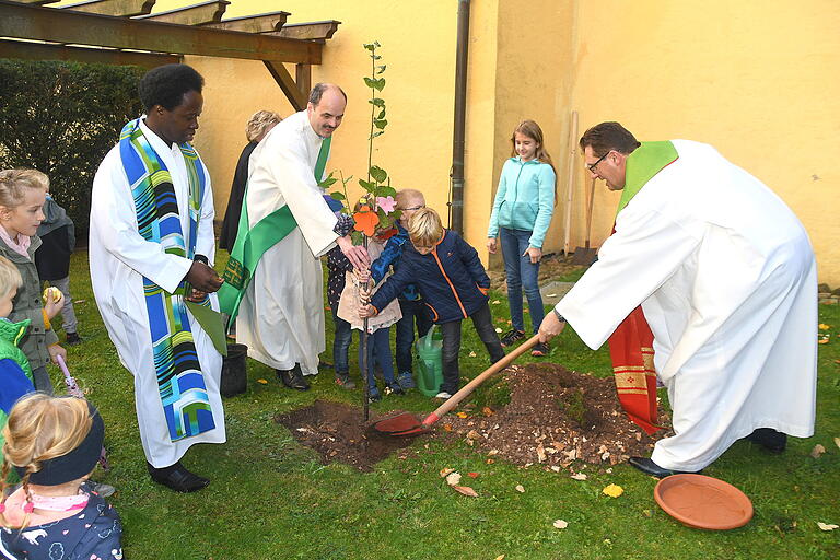 Dekan Dr. Andreas Krefft, Diakon Wolfgang Dömling und der Gastpriester Jean Francois Uwimana sowie viele fleisige Hände aus dem Kindergarten pflanzten einen Baum zwischen Kirchturm und Gotteshaus. Dekan Dr. Andreas Krefft, Diakon Wolfgang Dömling und der Gastpriester Jean Francois Uwimana sowie viele fleisige Hände aus dem Kindergarten pflanzten einen Baum zwischen Kirchturm und Gotteshaus.