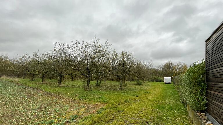 Die Wiese am Ende der Kaplan-Jäger-Straße wäre für Christopher Feuerlein eine 'kleine Oase' zum Campen. Die Wiese am Ende der Kaplan-Jäger-Straße wäre für Christopher Feuerlein eine 'kleine Oase' zum Campen.