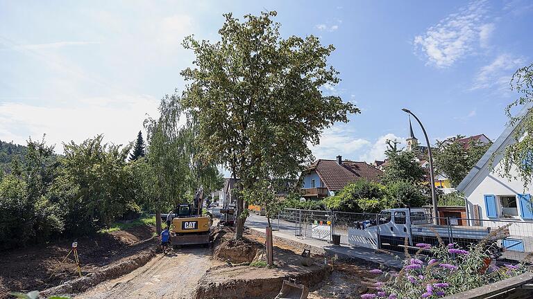 In Güntersleben sollte vor wenigen Wochen ein 15 Meter hoher Baum gefällt werden – doch dann schritt eine Bewohnerin des Dorfes ein.