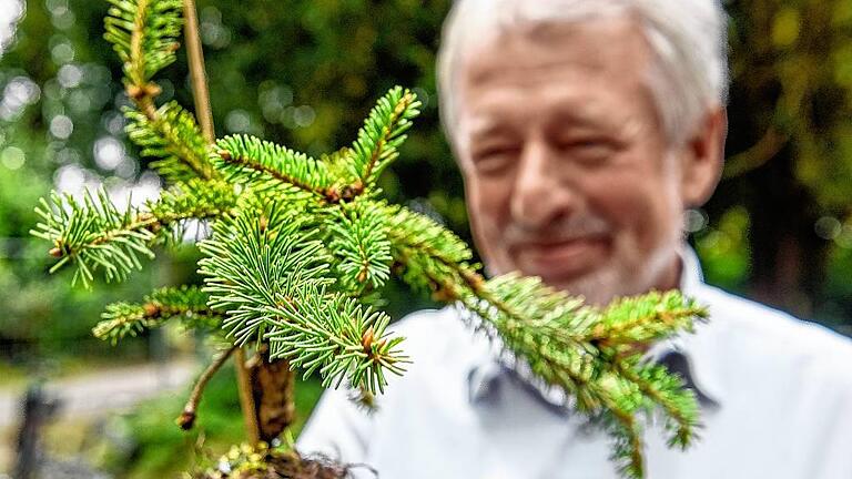 Dieter Müller mit einem Barryifichten-Zögling.