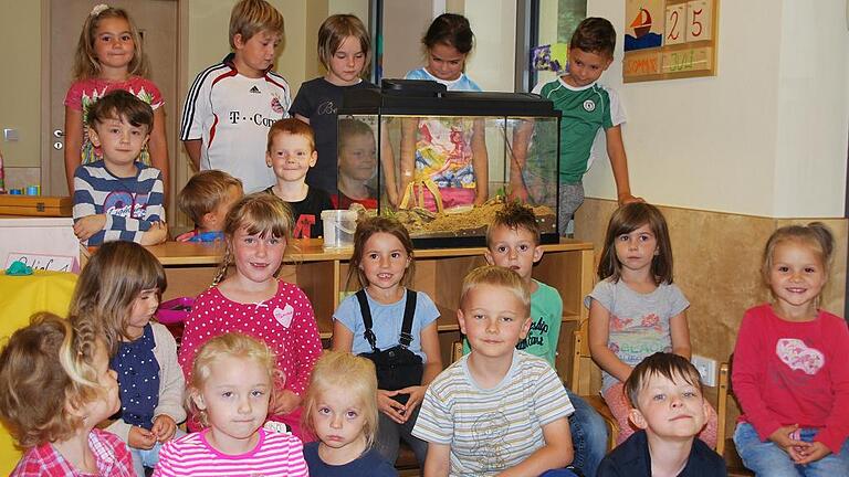 Stolz sind die Kinder der Baumgruppe. In ihrem Gruppenraum ist die &bdquo;Geburtshilfestation&ldquo; beherbergt. Sie funktioniert offensichtlich sehr gut, denn es sind schon zahlreiche Eidechsenkinder geschlüpft.