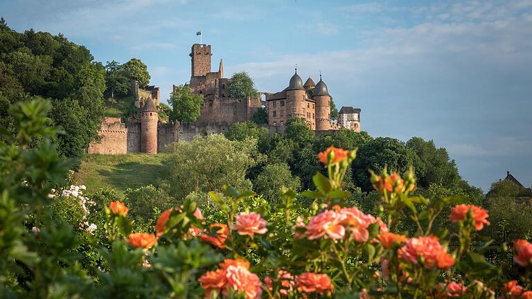 Die Ruine der Burg Wertheim im Main-Tauber-Kreis ist einer der größten Burgruinen in Süddeutschland.