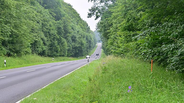 Eine angekündigte Sanierung der Staatsstraße 578 im zweiten Halbjahr dieses Jahres nimmt der Kister Gemeinderat zum Anlass, erneut auf die Wichtigkeit eines Radweges entlang der Straße hinzuweisen, auch wenn ein großer Teil durch Staatswald führt.