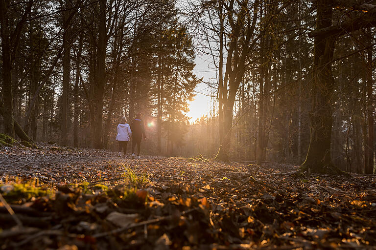 Über sieben Kilometer erstreckt sich die von Deutschen Wanderinstitut mit dem Deutschen Wandersiegel als Premiumweg ausgezeichnete Spessartfährte 'Stolzenberger Ritterblick'. Spazieren in den Sonnenuntergang ...