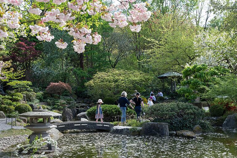 Der japanische Garten auf dem Gelände der Landesgartenschau 1990, der noch heute ein beliebtes Ziel für Spaziergänger ist. Der japanische Garten auf dem Gelände der Landesgartenschau 1990, der noch heute ein beliebtes Ziel für Spaziergänger ist.