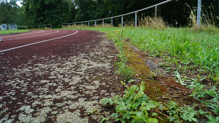 Gras und Moos wachsen auf der Laufbahn des Zeiler Sportgeländes. Aus der Leichtathletikabteilung kommt Kritik am Bürgermeister: Die Stadt müsse sich um eine Erneuerung kümmern.