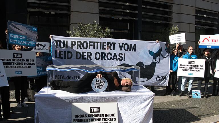 Sängerin Sarah Connor protestiert mit Peta       -  &bdquo;Es gibt keine artgerechte Haltung für Tiere wie Orca-Wale in Gefangenschaft&rdquo;, sagt Sarah Connor.