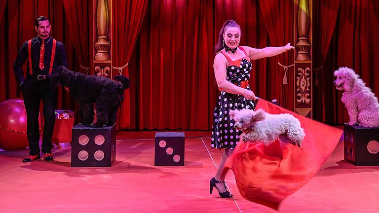 Auf den Hund gekommen: Mit 'Crazy Dogs' gibt es eine neue Show im Zirkuszelt des Freizeitlandes. Auf den Hund gekommen: Mit 'Crazy Dogs' gibt es eine neue Show im Zirkuszelt des Freizeitlandes.