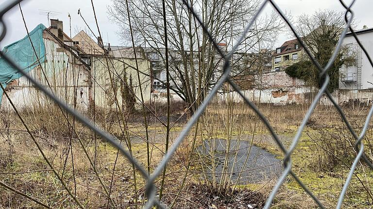 Wildwuchs hinter dem Zaun der Freifläche mitten in der Innenstadt. Wildwuchs hinter dem Zaun der Freifläche mitten in der Innenstadt.