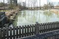 In jüngster Zeit sollten am Weyerer Löschweiher der Schlamm entfernt und ein neuer Mönch gesetzt werden, doch da das Gewässer auch zum Ablaichen genutzt wird, läuft die Aktion jetzt erst im Herbst. Dabei muss auch auf die dort lebenden Fische und Seerosen geachtet werden.