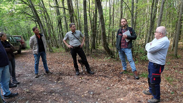 'Der Wald in Thundorf ist gut aufgestellt und Schäden überschaubar', sagt Forstdirektor Hubert Türich (Mitte) bei der Waldbegehung mit den Gemeinderat. - 'Der Wald in Thundorf ist gut aufgestellt und Schäden überschaubar', sagt Forstdirektor Hubert Türich (Mitte) bei der Waldbegehung mit den Gemeinderat. 'Der Wald in Thundorf ist gut aufgestellt und Schäden überschaubar', sagt Forstdirektor Hubert Türich (Mitte) bei der Waldbegehung mit den Gemeinderat. - 'Der Wald in Thundorf ist gut aufgestellt und Schäden überschaubar', sagt Forstdirektor Hubert Türich (Mitte) bei der Waldbegehung mit den Gemeinderat.