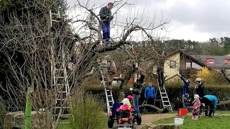 Kleine und große Helfer beim Obstbaumschnitt.