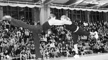 Eine für den Vereins- und       -  Eine für den Vereins- und Schulsport wichtige Einrichtung ist die Lohrer Spessarttorhalle. Das Dach, getragen unter anderem von so genannten
Leimbindern, zeigt Risse. Die Halle wurde deshalb am Freitag vorsorglich gesperrt. ARCHIV