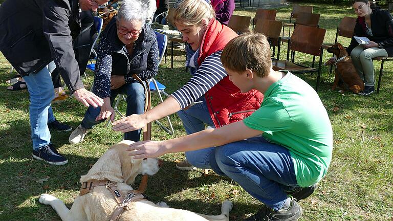Berührend war die Segnung jedes Hundes durch Handauflegung und Gebetsspruch. Berührend war die Segnung jedes Hundes durch Handauflegung und Gebetsspruch.