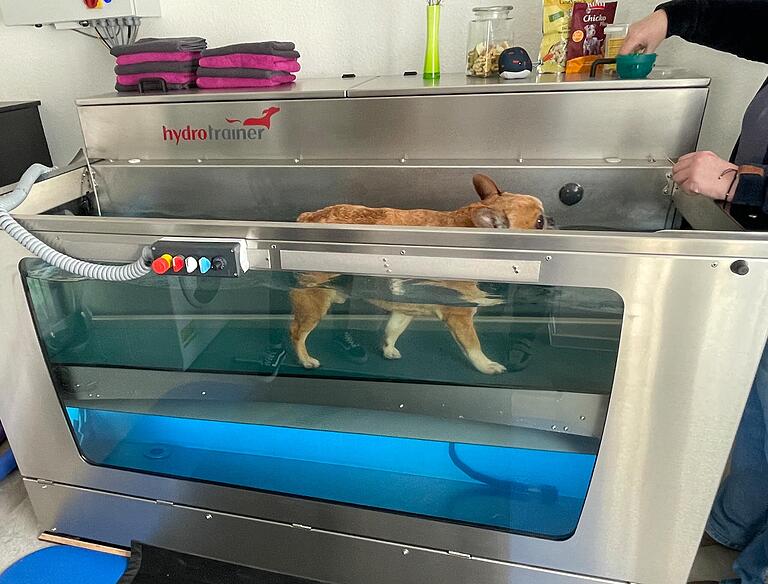 Fred auf dem Unterwasserlaufband. Fred auf dem Unterwasserlaufband.