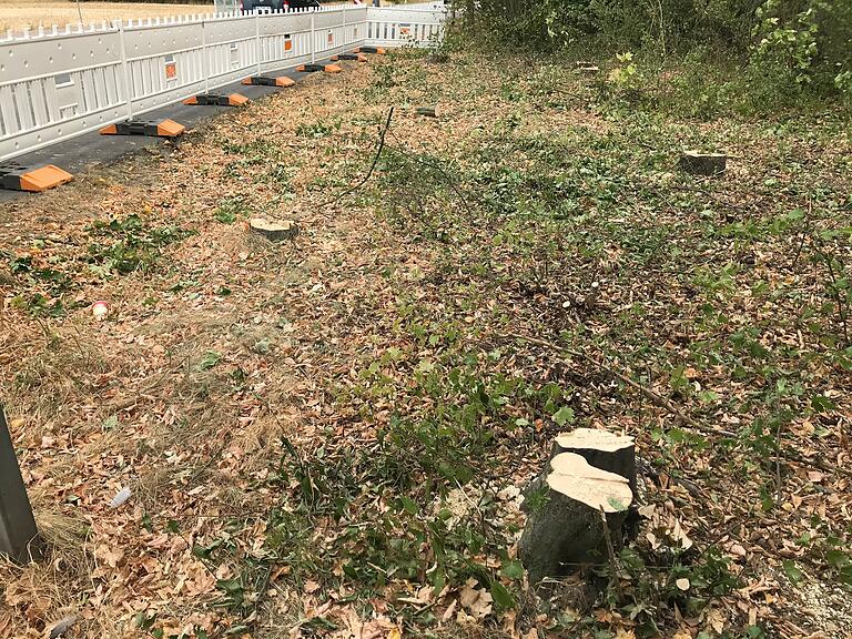 Am 18. August rückte eine Bauhof-Kolonne und hinterließ eine sichtbare Lücke im Gehölz. Am 18. August rückte eine Bauhof-Kolonne und hinterließ eine sichtbare Lücke im Gehölz.