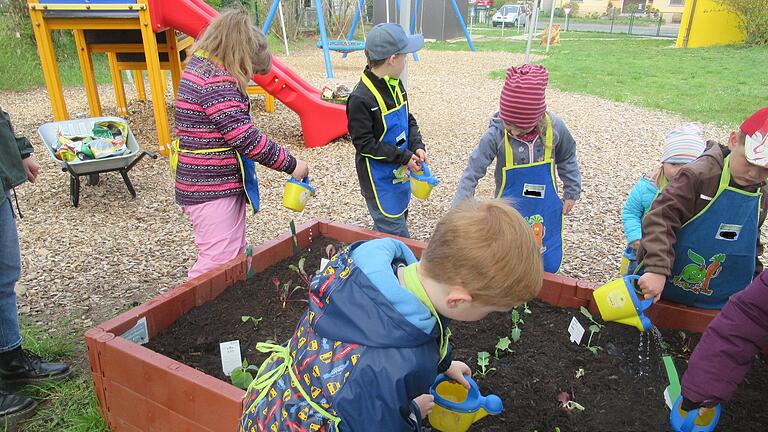 Mit Eifer bei der Sache: Die Kinder beim Bepflanzen des Hochbeetes.