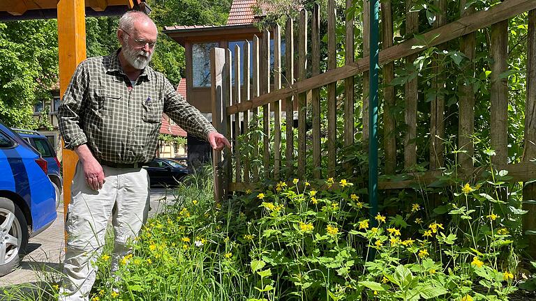 Die Deutsche Gartenbau-Gesellschaft empfiehlt, im Mai ganz auf das Mähen von Wiesen zu verzichten. Biologe Otto Elsner erklärt, warum er das für sinnvoll hält.