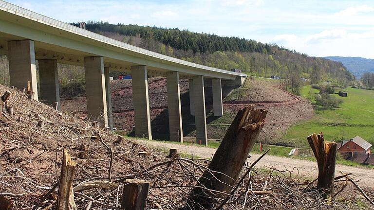 Rund um die Talbrücke Römershag muss der Bewuchs weichen. Eine neue Brücke soll gebaut werden. Direkt unterhalb sind Weiden und ein Wohngebiet. Foto: Julia Raab       -  Rund um die Talbrücke Römershag muss der Bewuchs weichen. Eine neue Brücke soll gebaut werden. Direkt unterhalb sind Weiden und ein Wohngebiet. Foto: Julia Raab