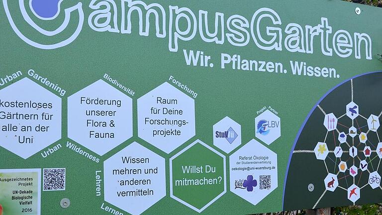 Studierende der Uni Würzburg wollen das, was sie seit 2014 mit ihrem Projekt CampusGarten gelernt haben, auf dem LGS-Areal präsentieren.