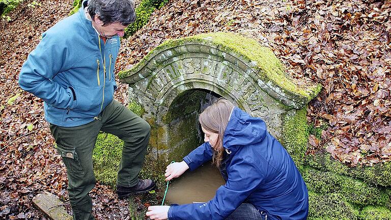 Die Biologin Carolin Dittrich vom Naturkundemuseum Berlin ist eine der besten Salamander-Expertinnen im Steigerwald. Hier sucht sie mit dem Leiter des Forstbetriebs Ebrach, Ulrich Mergner, am Wotansborn bei Fabrikschleichach nach Larven des Lurchs. Die Biologin Carolin Dittrich vom Naturkundemuseum Berlin ist eine der besten Salamander-Expertinnen im Steigerwald. Hier sucht sie mit dem Leiter des Forstbetriebs Ebrach, Ulrich Mergner, am Wotansborn bei Fabrikschleichach nach Larven des Lurchs.